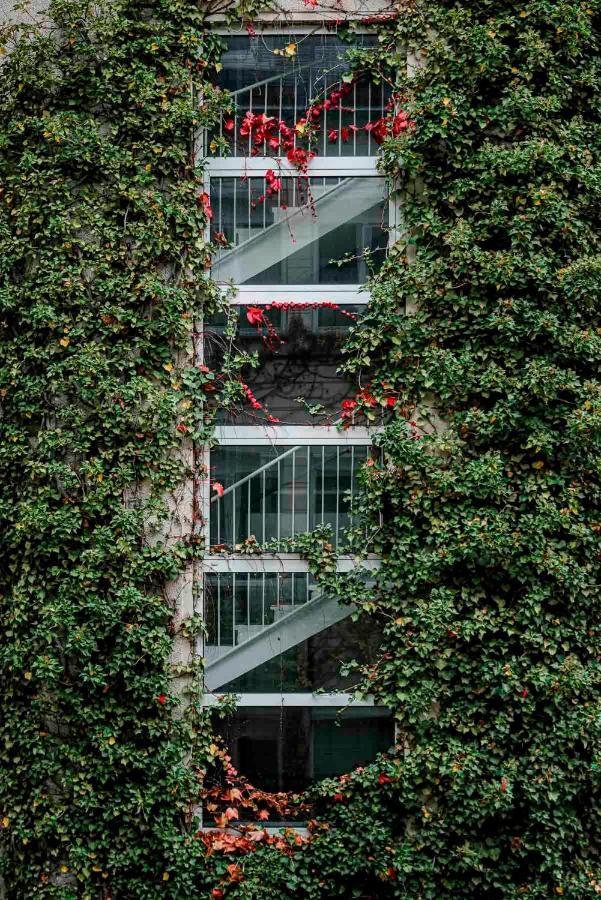 Boutique Atrium 4*